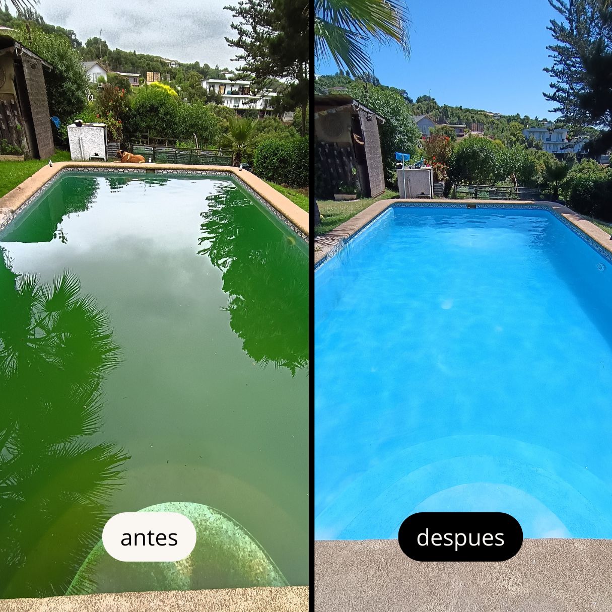 antesdespues.jpg